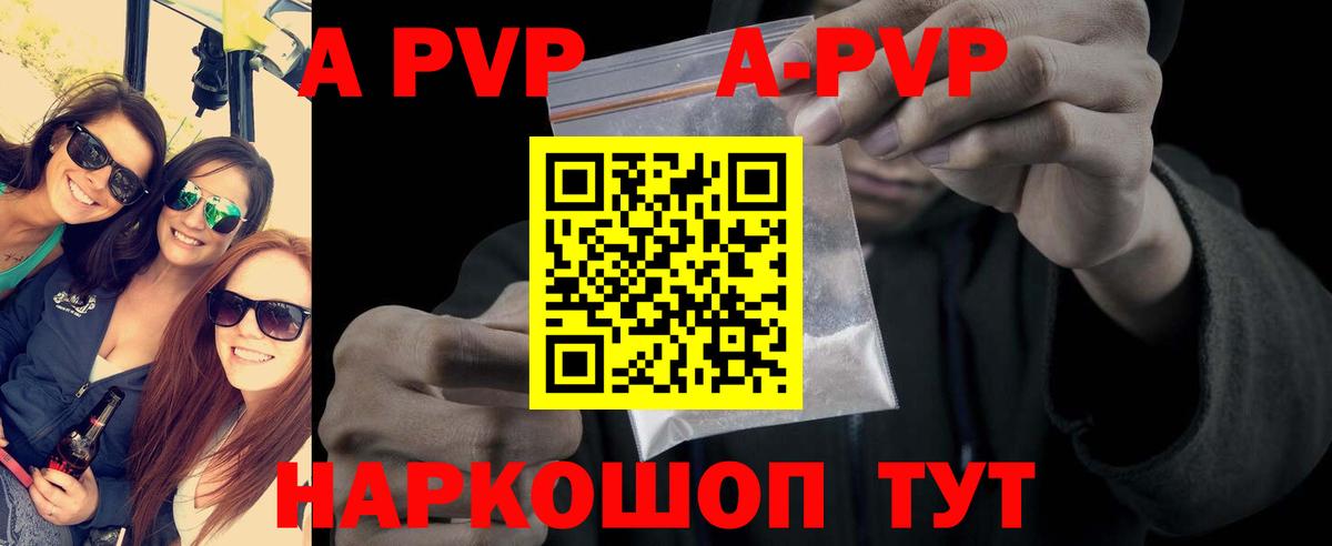 Alfa_PVP СК Гудермес