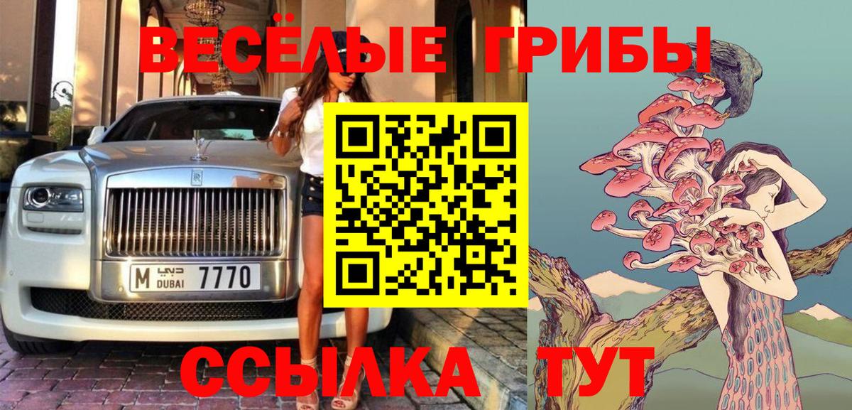 Галлюциногенные грибы прущие грибы  Вход с VPN  Гудермес 