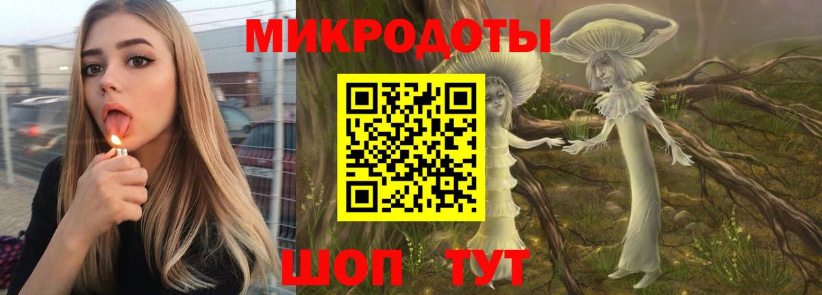 Псилоцибиновые грибы прущие грибы Гудермес